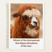 Meilleur Sourcil Unique d'Alpaca (Devant)