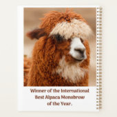 Meilleur Sourcil Unique d'Alpaca (Dos)