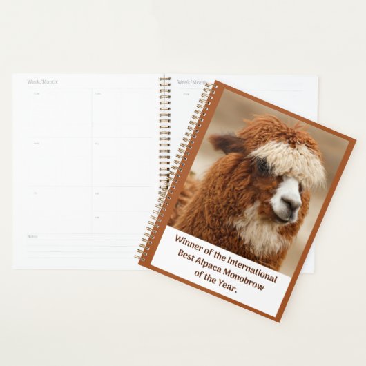 Meilleur Sourcil Unique d'Alpaca (Devant avec enveloppe)