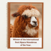 Meilleur Sourcil Unique d'Alpaca (Devant)