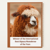 Meilleur Sourcil Unique d'Alpaca (Dos)