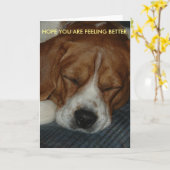 Meilleure carte avec beagle (Fleur jaune)