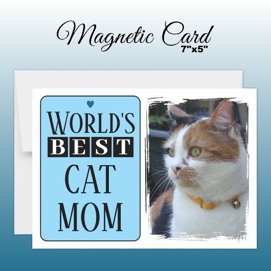 Meilleure carte magnétique bleue photo maman chat