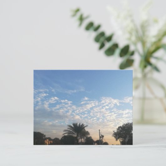 Meilleure carte postale (Debout devant)