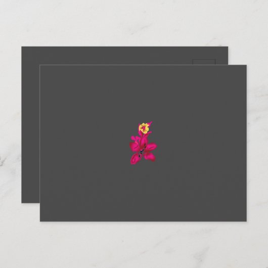 Meilleure carte postale (Devant / Derrière)