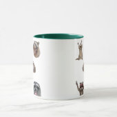 Meilleure compilation de mèmes de raton laveur Mug (Centre)