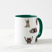 Meilleure compilation de mèmes de raton laveur Mug (Devant droit)