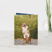 Meilleure maman chien jamais bosse la carte de la  (Dos)