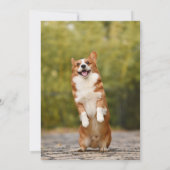 Meilleure maman chien jamais bosse la carte de la  (Dos)