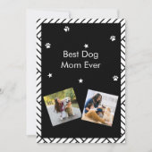 Meilleure maman de chien jamais la carte de voeux  (Devant)