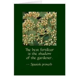 Meilleure ombre d'engrais du jardinier. GI BB