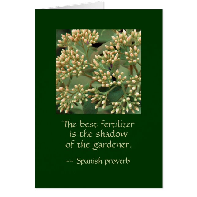 Meilleure ombre d'engrais du jardinier. GI BB (Devant)