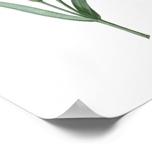 MEILLEURE QUALITÉ Impression botanique de l'oeille (Coin)