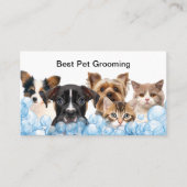 Meilleures cartes de rendez-vous de toilettage pou (Devant)