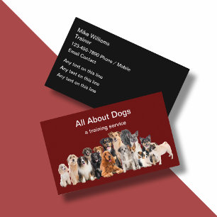 Meilleures Cartes de Visite pour Nouveau Dressage