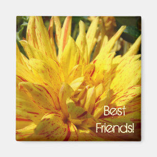 Meilleurs amis ! aimant Fleur dahlia rouge jaune