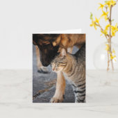 Meilleurs amis - Chat et Carte berger allemande (Fleur jaune)