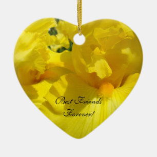 Meilleurs amis pour toujours ! Cadeaux ornements M
