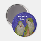 Meilleurs amis Quaker Parrots mignon Magnet (Recto/Verso)