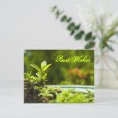 Meilleurs voeux - cartes postales (Debout devant)