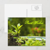 Meilleurs voeux - cartes postales (Devant / Derrière)