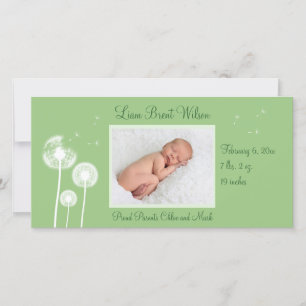 Meilleurs voeux ! ! ! Faire-part de naissance 2 (v