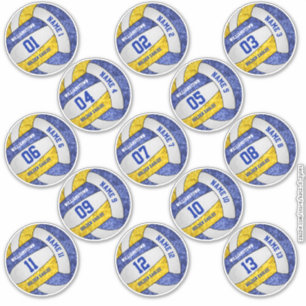 meisjesblauwe volleybalspelernamen 13 sticker