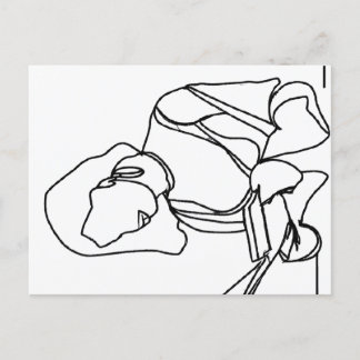 Meisleeslezen Briefkaart