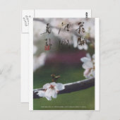 meitokai briefkaart 1 (Voorkant / Achterkant)