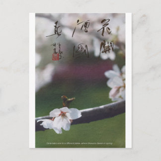 meitokai briefkaart 1