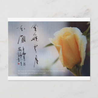 meitokai briefkaart 8