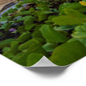 Melaka tijdens Sunset | Masjid Selat Poster (Hoek)