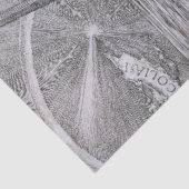 Melancholia, Albrecht Durer Tissuepapier (Detail)