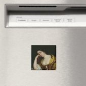 Melancholy Magneet (Insitu (Vaatwasser))