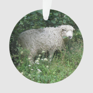 Mélange Blanc Fluffy Sheep Manger Acrylique Orneme