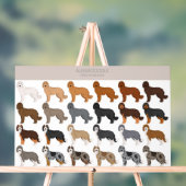 mélange de chien Aussiedoodle (Neutre)