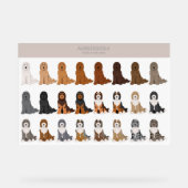 mélange de chien Aussiedoodle (Recto)