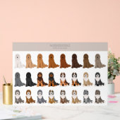 mélange de chien Aussiedoodle (Mariage)