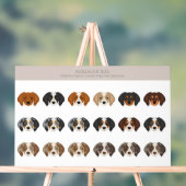 Mélange de chiens Aussaut (Neutre)