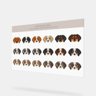 Mélange de chiens Aussaut