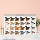 Mélange de chiens bernedoodle (Mariage)