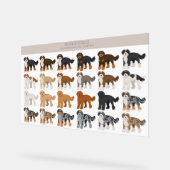 Mélange de chiens bernedoodle (Angle)