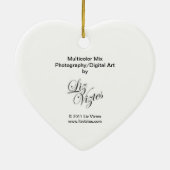 Mélange multicolore Ornement cardiaque (Dos)