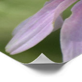 MÉLANGER LE POSTER (Coin)