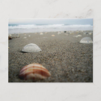 Melbourne strand in Florida Briefkaart