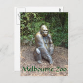 Melbourne Zoo Gorilla Briefkaart (Voorkant / Achterkant)