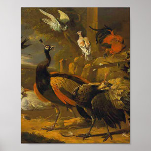 Melchior d'Hondecoeter - Vogels in een park Poster