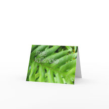 Mele Kalikimaka Vakantie Vrolijk Kerstfeest Kaart