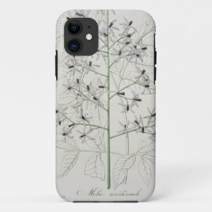 Melia Azedarach uit 'Phytographie Medicale' door J iPhone 11 Hoesje