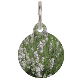 Melissa Lavender Hondenpenning Huisdierpenning